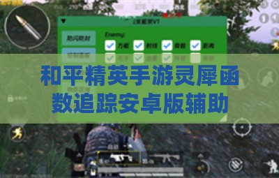 和平精英手游灵犀函数追踪安卓版辅助
