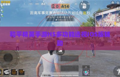 和平精英手游HS多功能透视IOS版辅助