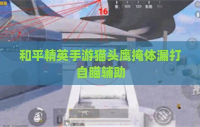 和平精英手游猫头鹰掩体漏打自瞄辅助