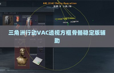 三角洲行动VAC透视方框骨骼稳定版辅助