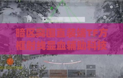 暗区突围直装端TF方框射线显血辅助科技