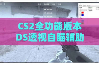 CS2全功能版本DS透视自瞄辅助工具