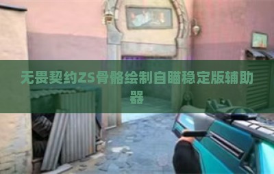 无畏契约ZS骨骼绘制自瞄稳定版辅助器