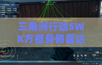 三角洲行动SWK方框骨骼雷达绘制辅助器