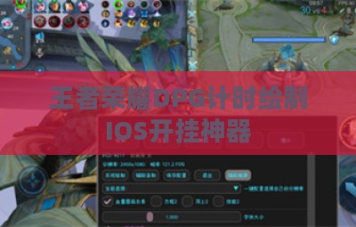王者荣耀DPG计时绘制IOS开挂神器