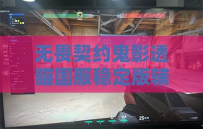 无畏契约鬼影透瞄国服稳定版辅助软件