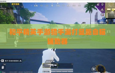 和平精英手游猎手漏打显距自瞄辅助器